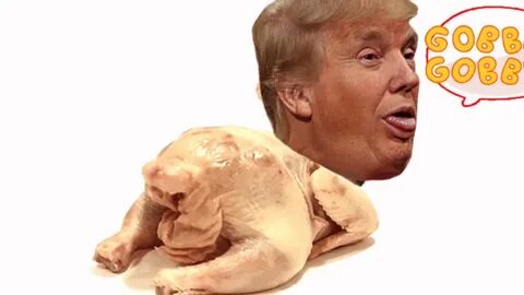 Trump meme