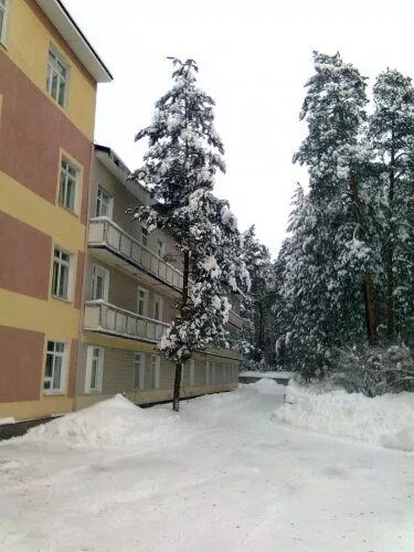 Санаторий пушкина дзержинск. Санаторий пушкино нижегородская область город дзержинск. Санаторий пушкино московская область номер. Санаторий вача нижегородская область. Санаторий пушкино дзержинск нижегородская.