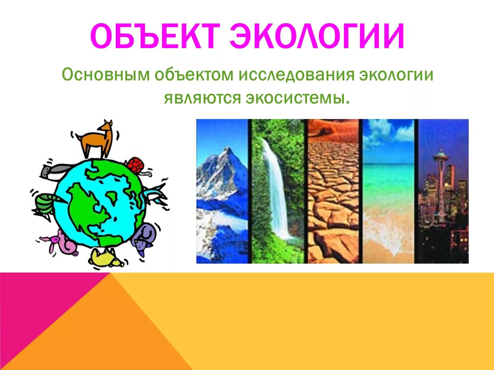 Примеры изучения экологии. Объекты экологии. Объекты изучения экологии. Объекты исследования экологии. Ключевые объекты изучения экологии.