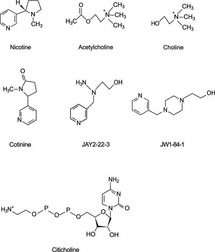 Никотин биохимия. Ацетилхолин структурная формула. Ацетилхолин формула химическая. Холин ацетилхолин формула. Ацетилхолин формула (строение).