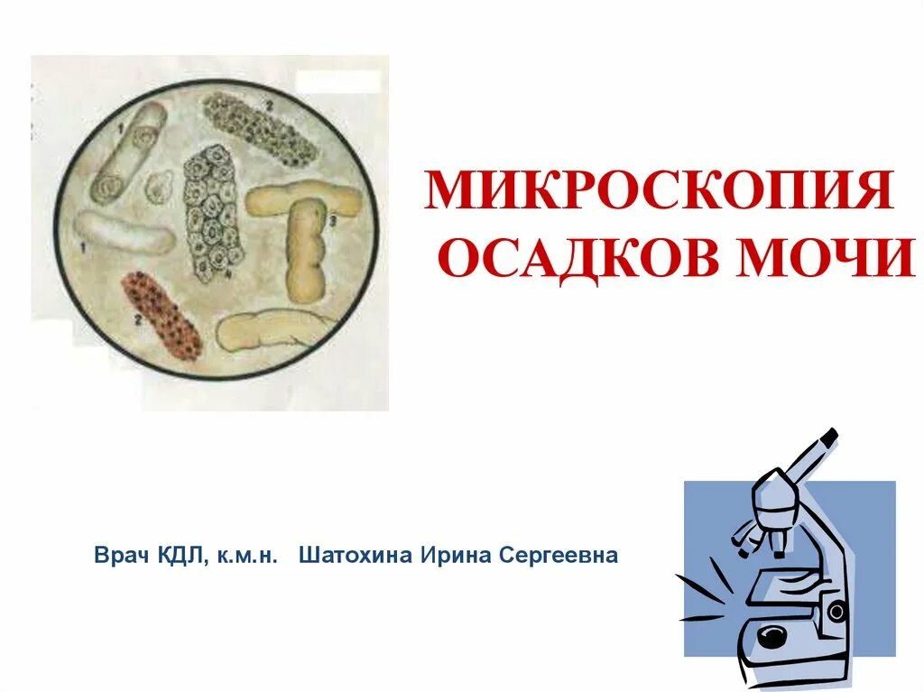 Микроскопия мочи. Микроскопия осадка мочи. Микроскопия мочевого осадка. Исследование осадка мочи.