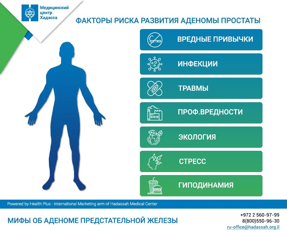 Хроническая простата аденома. Аденома предстательной железы факторы риска заболевания. Аденома простаты факторы развития. Факторы риска развития простатита. Факторы способствующие развитию аденомы простаты.