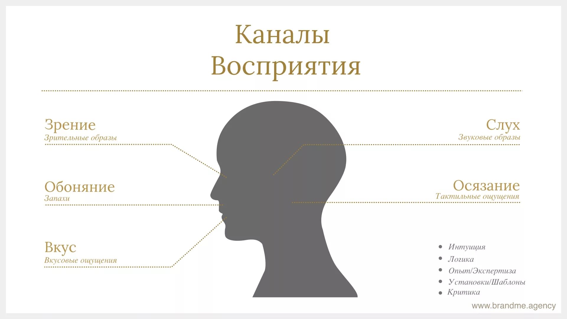 Каналы ощущений. Каналы восприятия. каналы восприятия человека. каналы восприятия информации человеко. виды каналов восприятия.