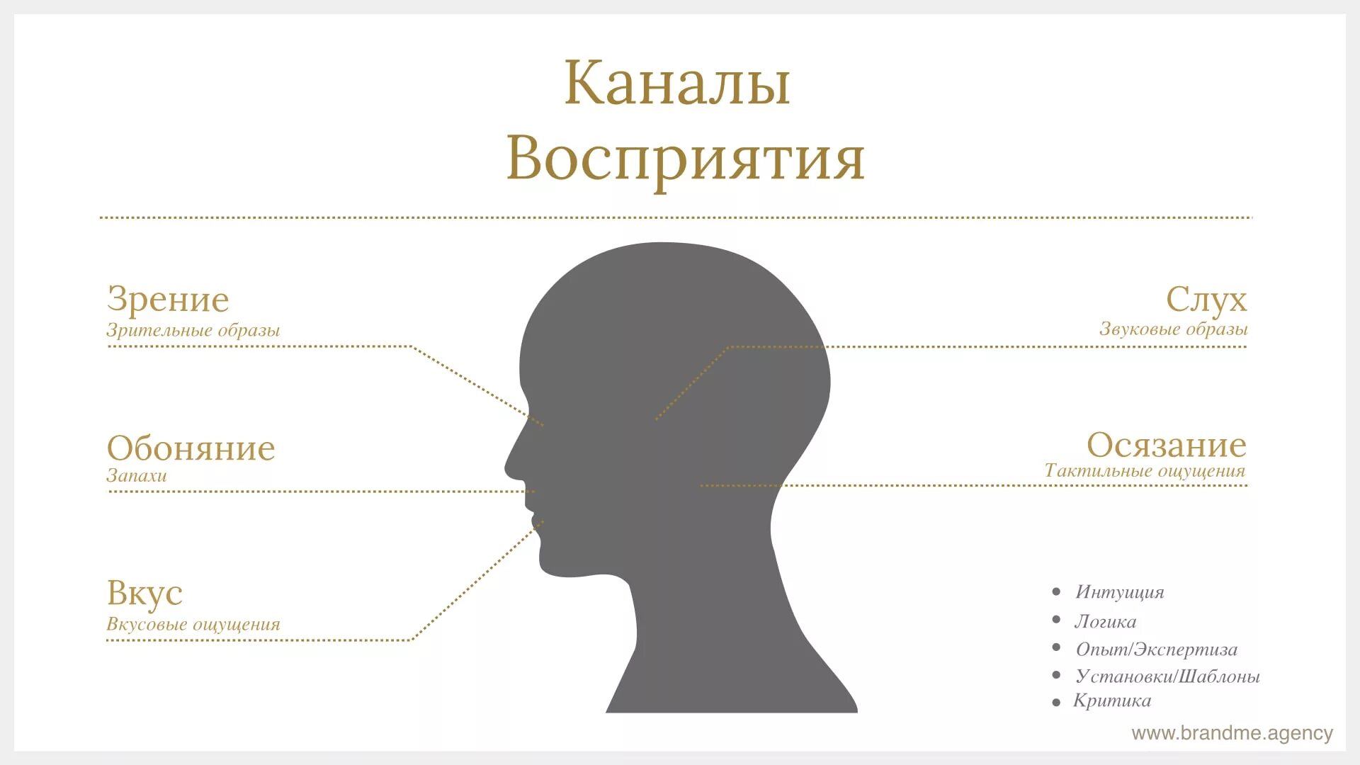 Восприятие структура информации. Каналы восприятия информации. Каналы восприятия человека. Каналы восприятия информации человеком. Каналы восприятия в психологии.