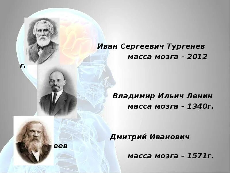 Какой вес мозга человека. Менделеев вес мозга. Масса мозга Тургенева. Тургенев вес мозга. Масса мозга Эйнштейна.