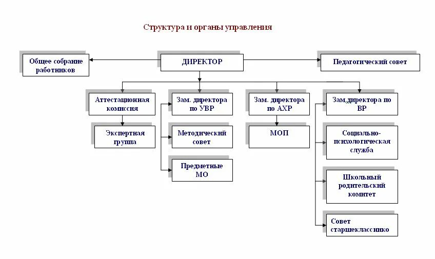 структура органов общественных объединений