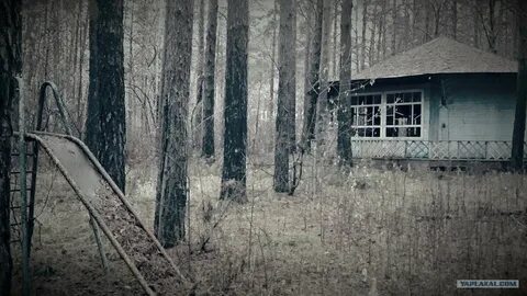 Ночь в заброшенном лагере