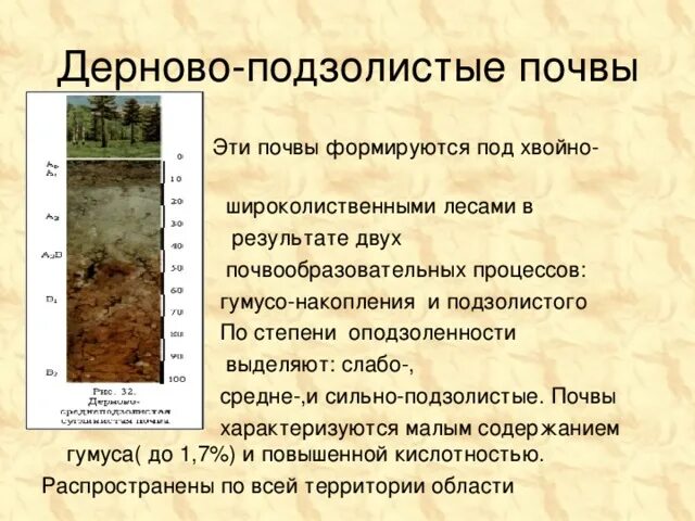 Дерново подзолистые почвы территория. Краткая характеристика дерново подзолистых почв. Дерново-подзолистые почвы характеристика. Дерново-подзолистые почвы характеристика таблица. Великобритания дерново-подзолистые почвы.