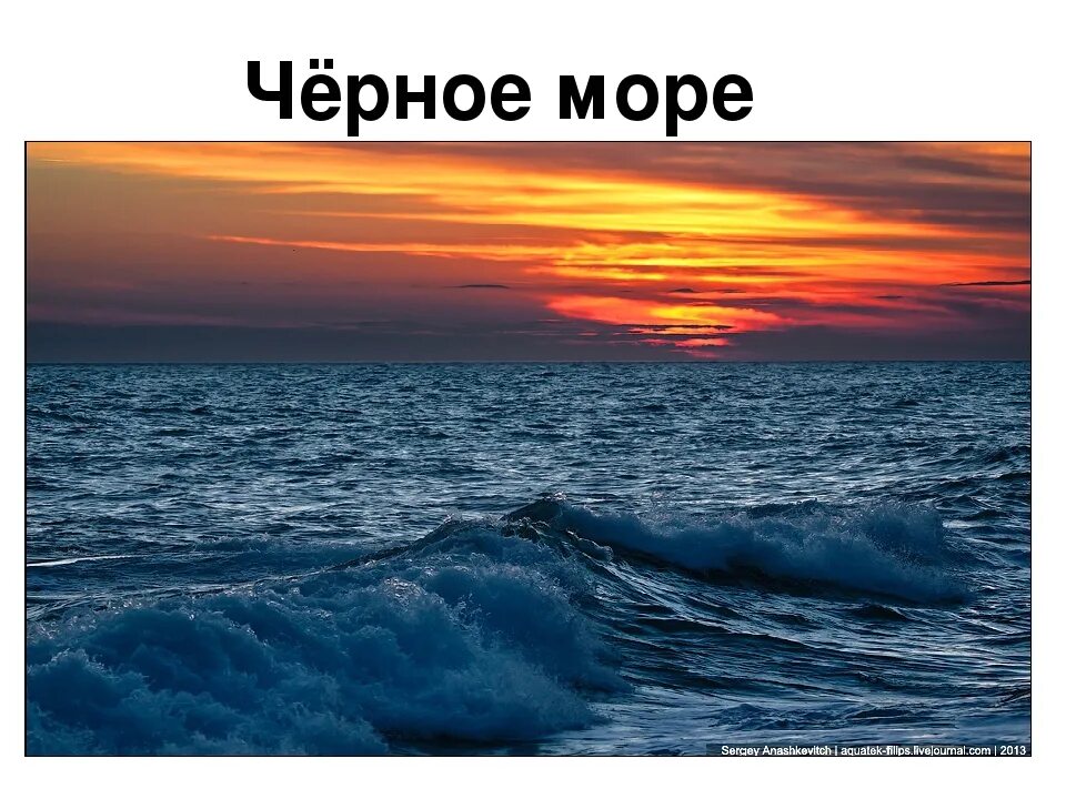 Сообщение про черное море 4 класс. Черное море презентация. тема у чёрного моря. черное море доклад. море для презентации.