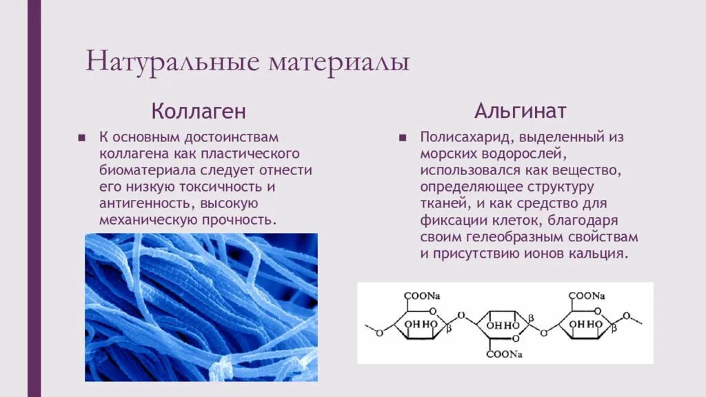 Свойства коллагена. Роль коллагена в организме. Функции коллагена в организме. Коллаген презентация. Коллаген полимер.