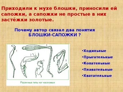 Ходильные ноги 2