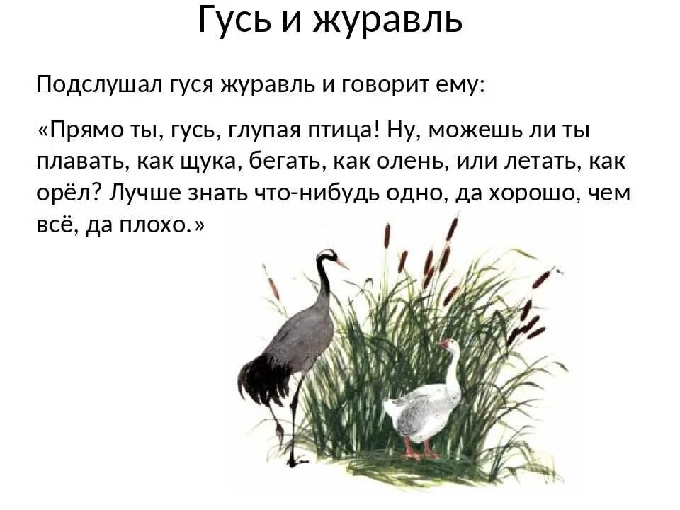 Басня гусь и журавль. К д ушинский гусь и журавль басня. сказка ушинского гусь и журавль. иллюстрация гусь и журавль.