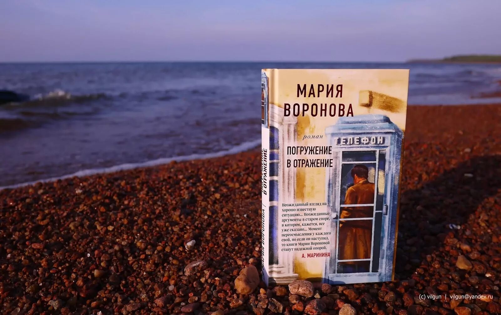 Воронова погружение в отражение. Книга погружение в отражения. Обложка книги м. Воронова без подводных камней.