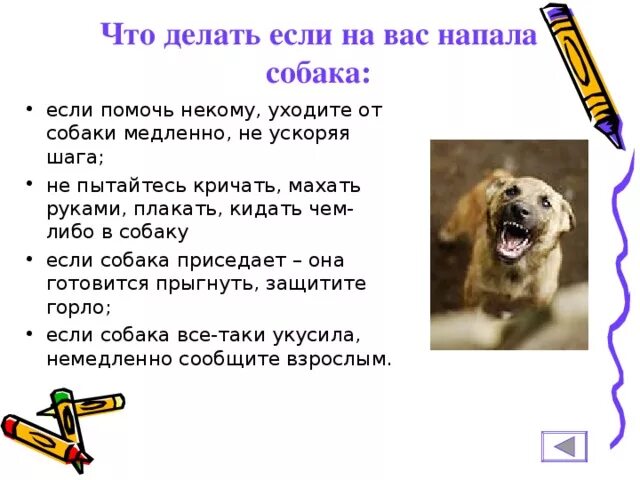 Провести нападение. Действия при нападении собаки. Если на вас напала собака. Памятка при нападении собаки. Что делать если напала собака.