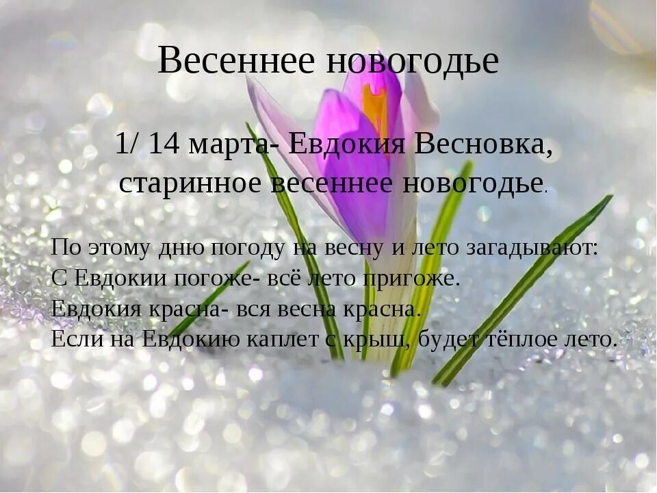 Что значит день 24 апреля. Что значит день 24 апреля
