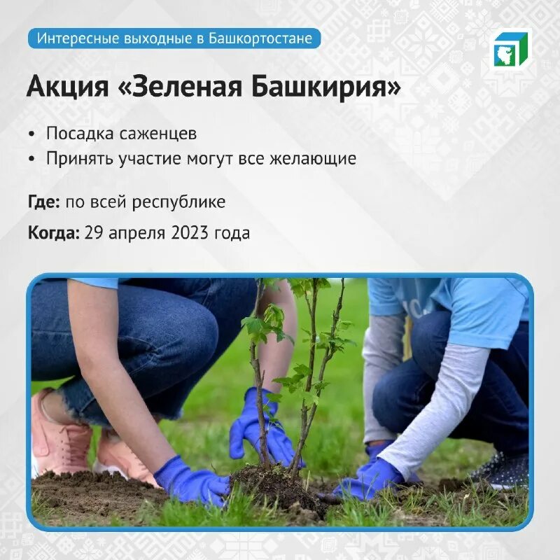 Высадка деревьев сириус экологическая акция. Когда сажать в башкирии. Посевной календарь на 2022 для огородников лунный. Зеленая башкирия 2023. Лунный посевной календарь для башкирии.