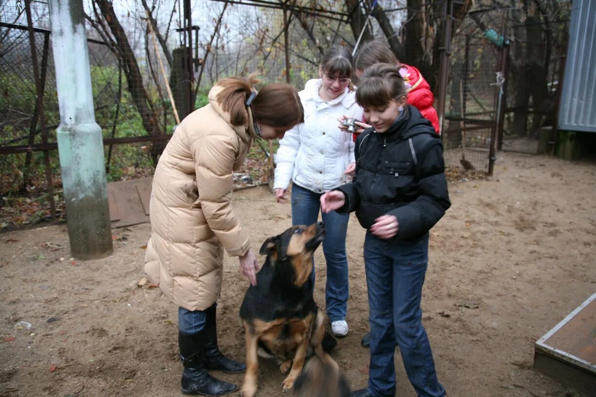 Приют покров отрадное. Приют в отрадной. Воронеж. Приют отрадный. Детдом огонек.
