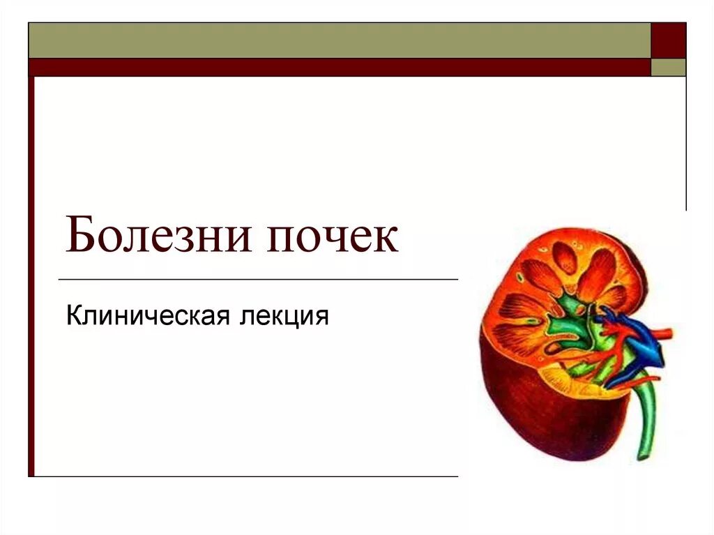 Причины заболевания почек 8 класс. Болезни почек презентация. Заболевание почек презентация. Заболевания почек презентация 8 класс.