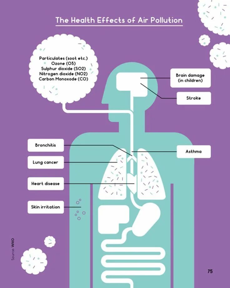 Effects of Air pollution. Air pollution Health. Загрязнение воздуха тихий убийца инфографика. Air pollution healthy Effects. Air effect