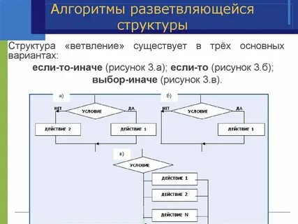 Программа цикл и ветвление