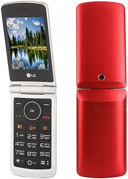 Телефон раскладушка красный. Мобильный телефон LG g360. LG g360 Dual. Мобильный телефон LG g360 Red. LG раскладушка красный g360.