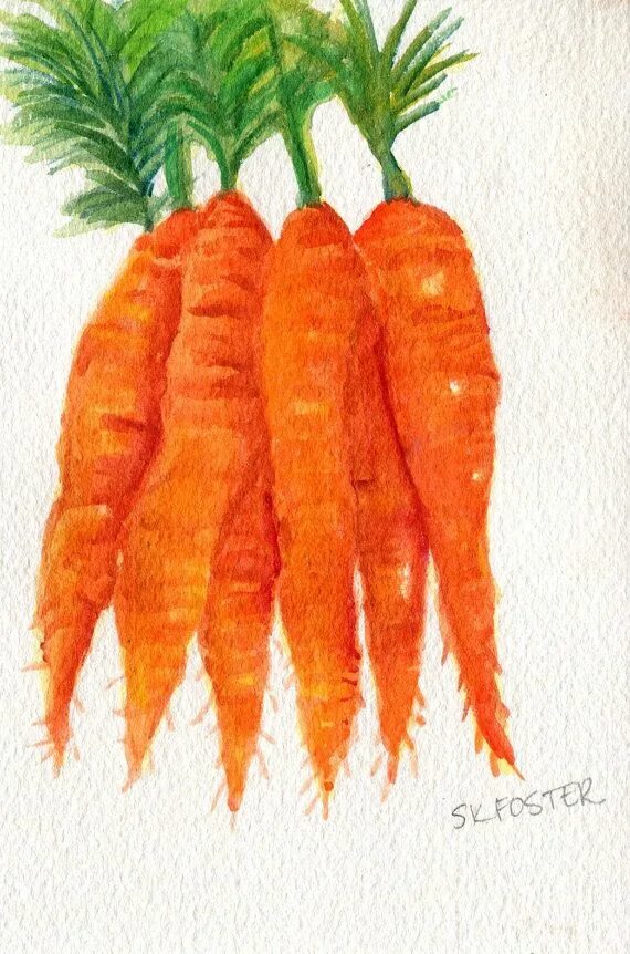 Морковка рубена. Двойная морковь. Морковка рубена. Морковка рубена. Злой заяц с морковкой.