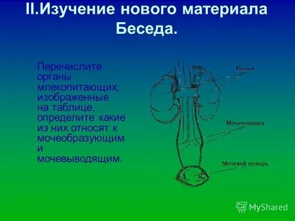 Как вы думаете почему именно перечисленным органам