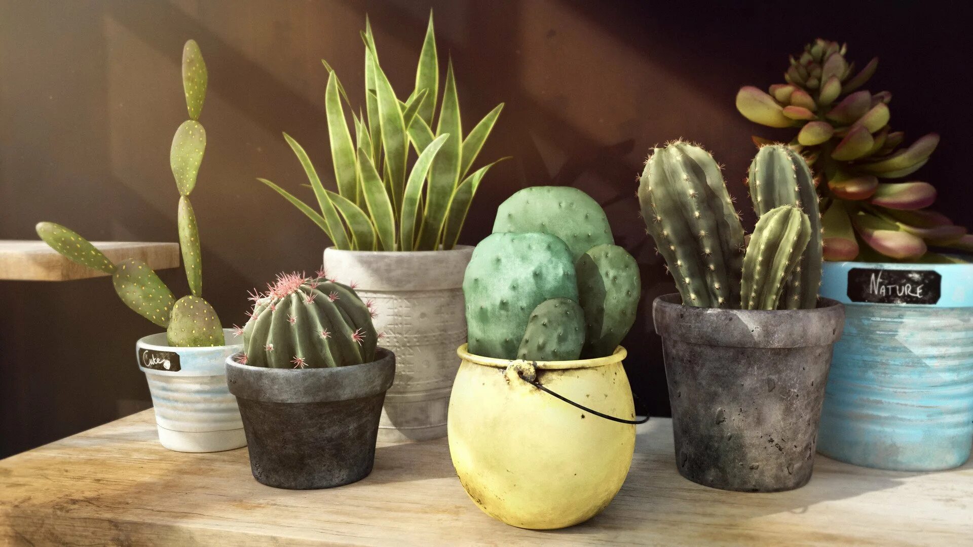 Cactus столы