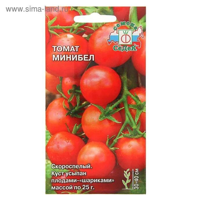Скороспелые семена томатов. Черри Минибел. Сорт черри Минибел. Сорт Минибел помидоры. Томат комнатный Минибел.