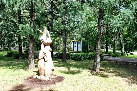 Парк культуры северное тушино