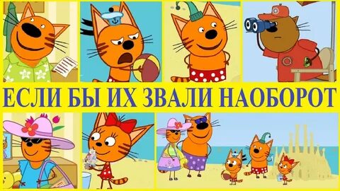 Три кота путешествие