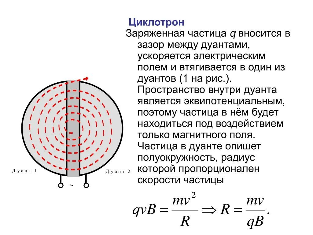 Наименьшая частица радиуса. Ускоритель частиц циклотрон. Циклотрон - ускоритель заряженных частиц. Циклотрон формулы. Циклотрон принцип.