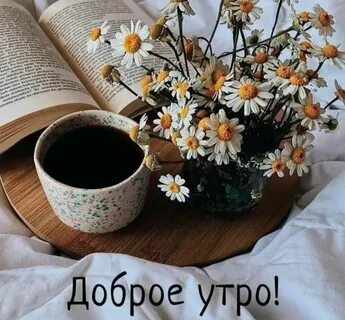 Начало дня картинки с надписями