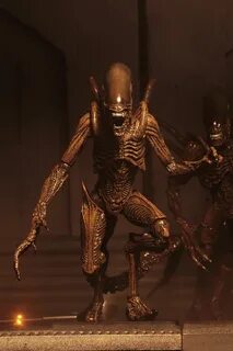 Series 14