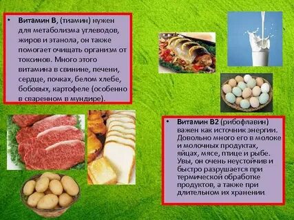 Мясо витамины содержит
