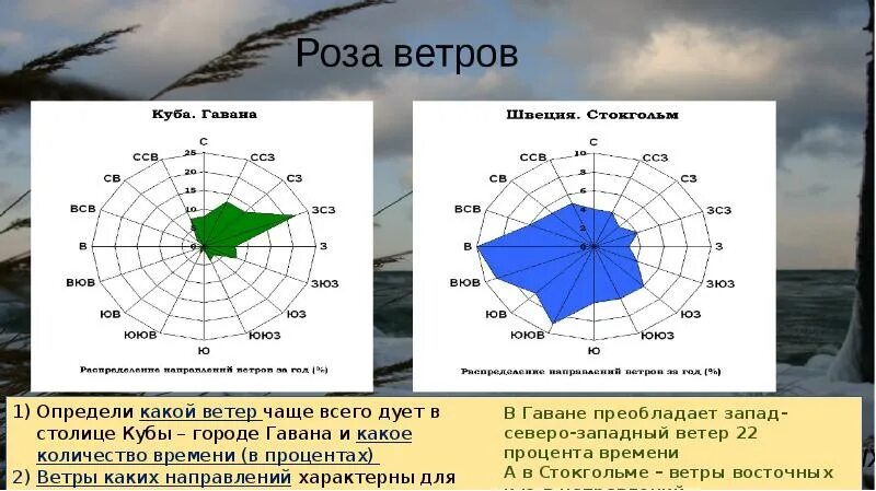 Ветер какой на ветер. Какой ветер чаще всего. В какую сторону чаще всего дует ветер. В каком направлении дует Западный ветер.