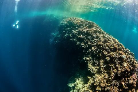Подводная арка