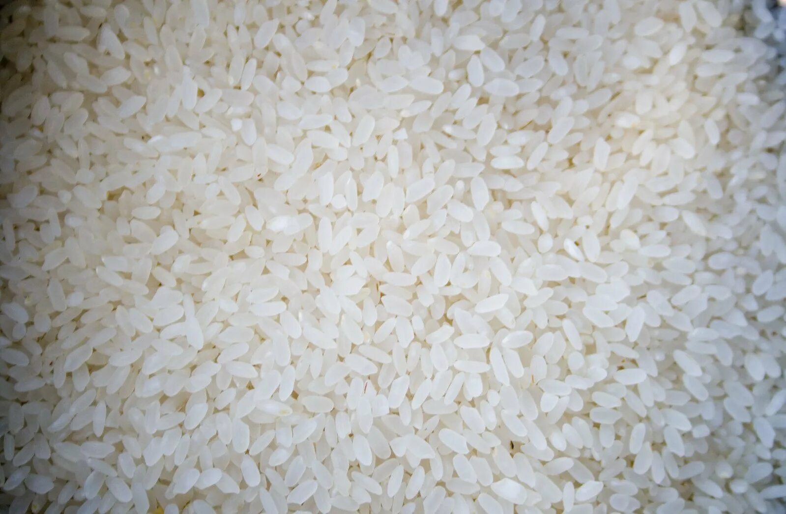 Рис информация. Рис байдала. патна рис. рис казахстанский байдала. rice camolino 700g.