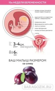 Матки 8