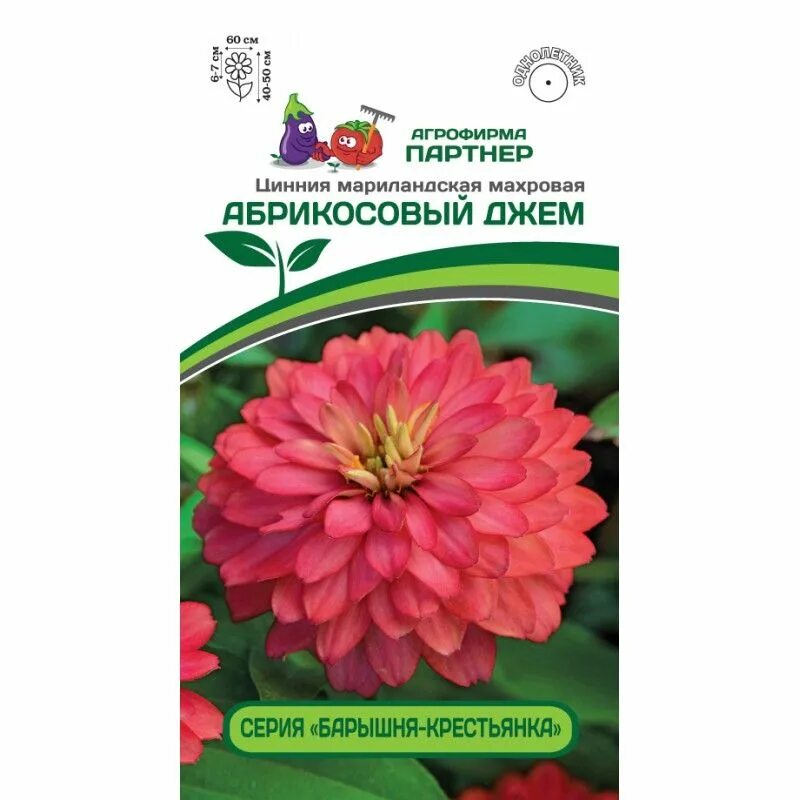 Цинии георгиновидные. Циния агрофирма партнер. Циния захара черри. Циния агрофирма партнер. Фирма партнер семена цинии.