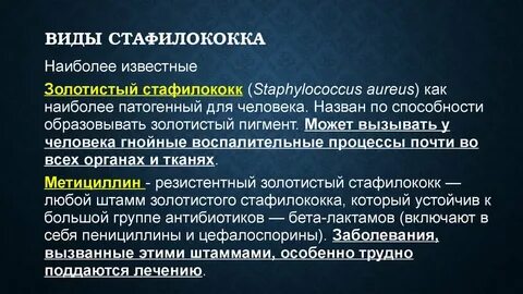 Стафилококка слова