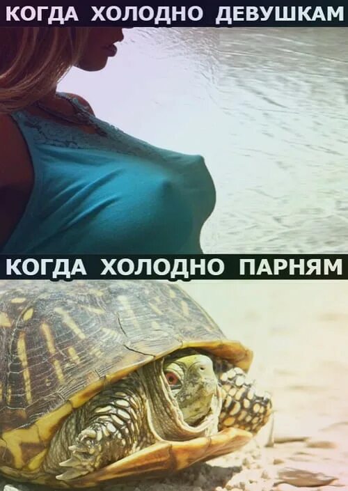 Почему девушкам всегда холодно. Когда холодно девушкам. бабы когда холодно. когда холодно парням. когда холодно девушкам и парням.