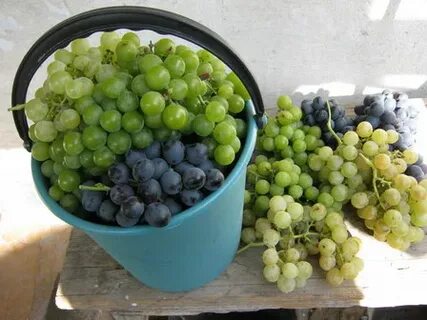 Виноград кишмиш 100 грамм