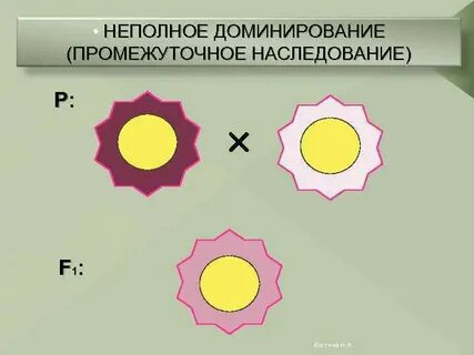 Промежуточный признак