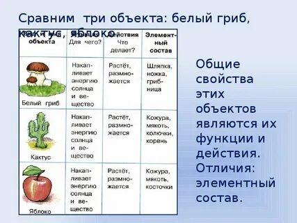 Три объекта