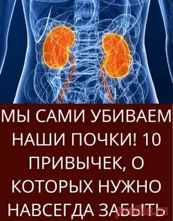 Что вредит почкам