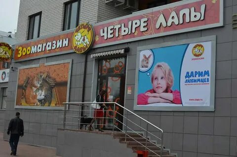4 лапы корпоративный портал