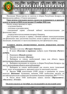 Налоги и сборы рб