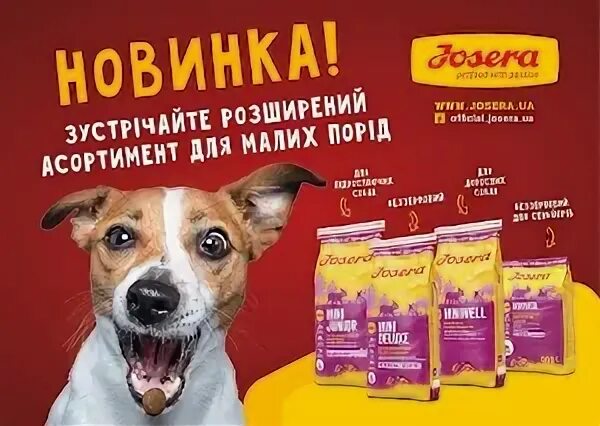Петфуд корм для животных. Петфуд корм. петфуд магазины. ооо &quot;аллер петфуд&quot;. aller petfood корм для собак.
