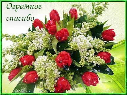 СПАСИБО, БЛАГОДАРЮ.